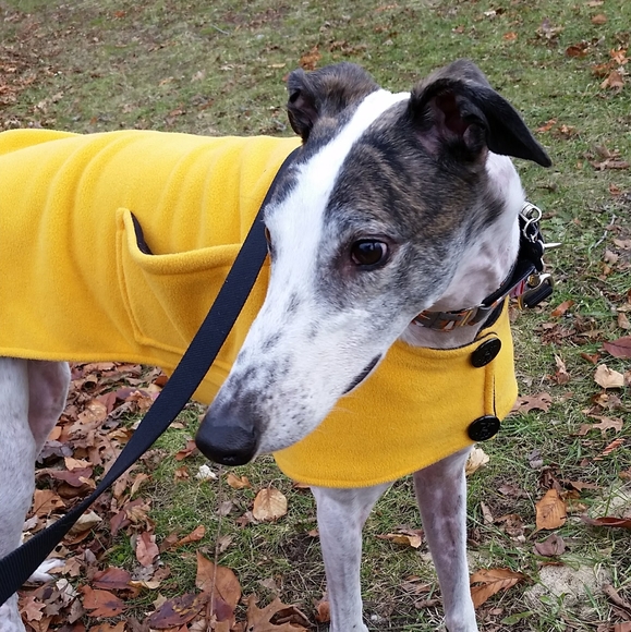 Meet your Posher, Samantha - Picture 6 of 7